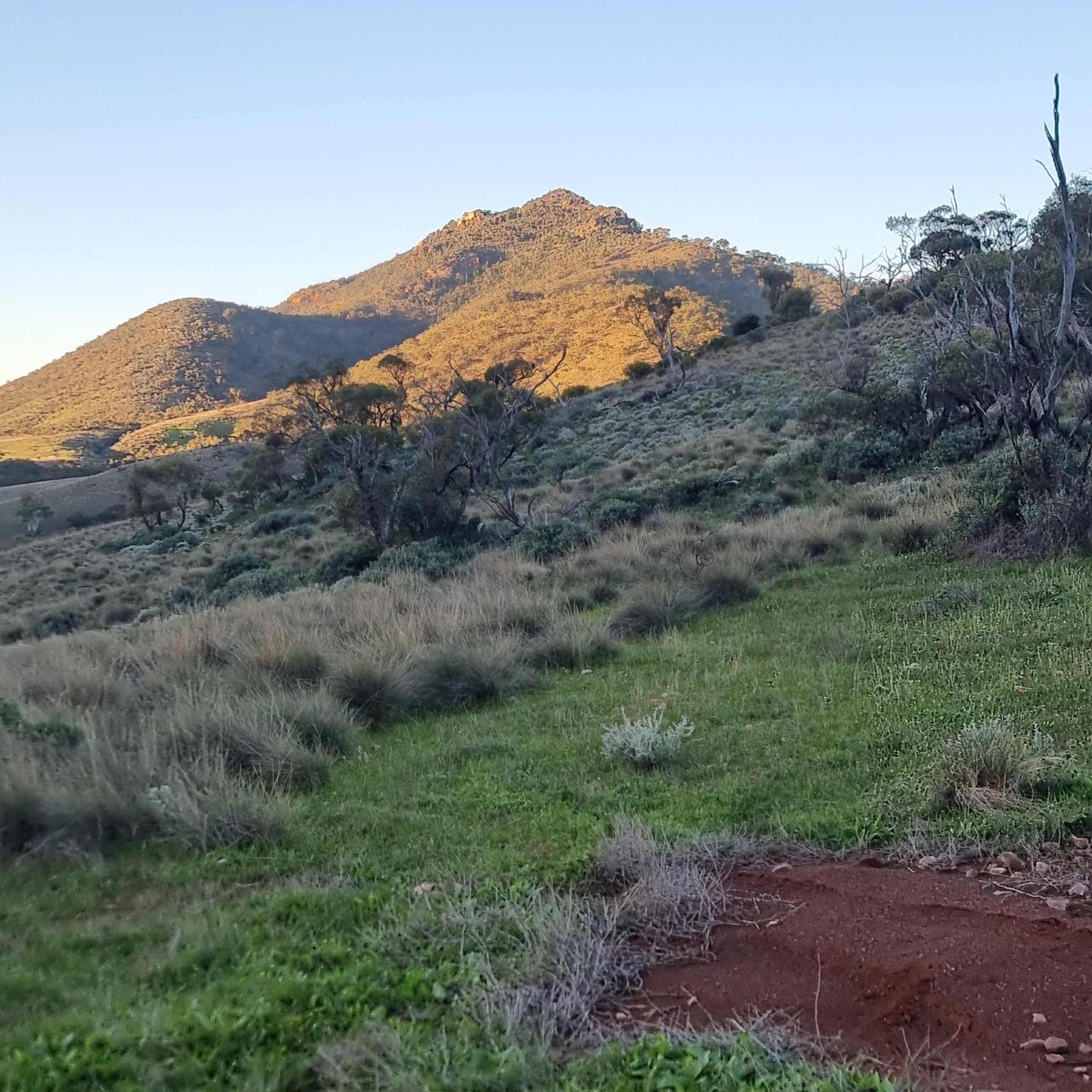 Pichi Richi Park Vila Quorn Exterior foto